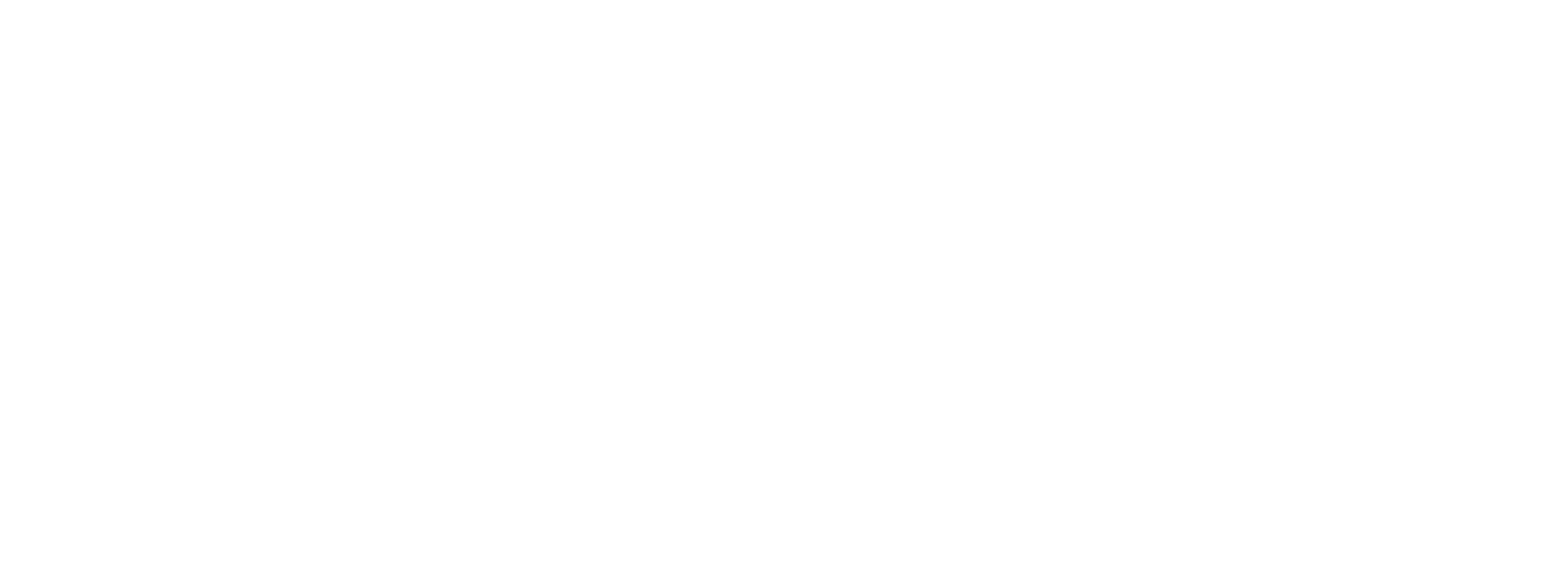 patzelt-politik