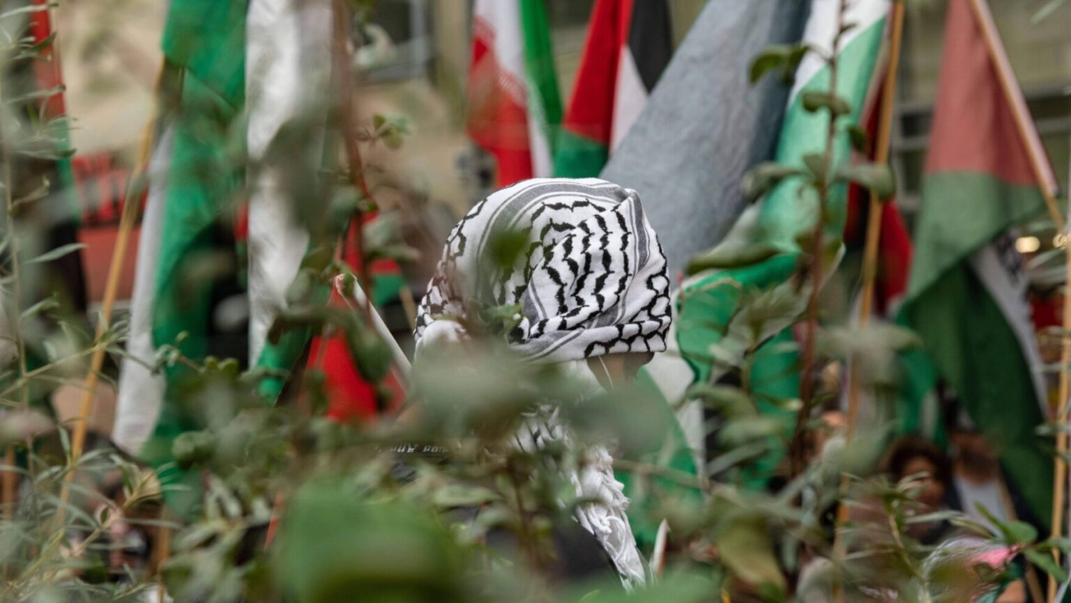 Nächster Clan-Fall bei der Berliner Linken: Großfamilie aus Gaza ...